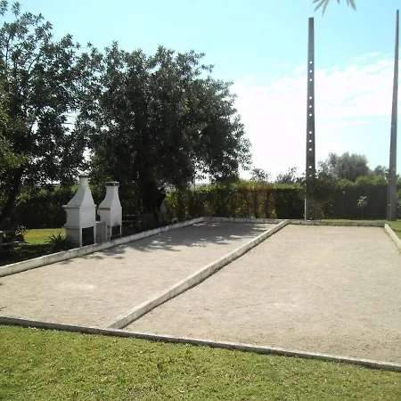 Garden Sunny And Pool *