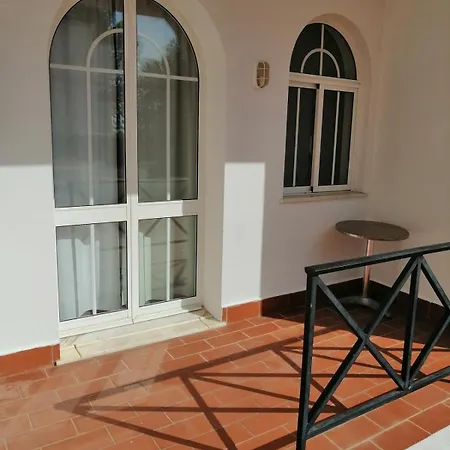 Garden Sunny And Pool *